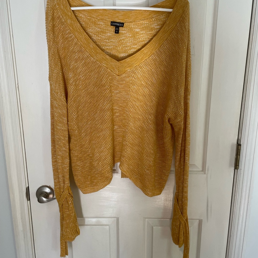 Express Mustard Yellow V-Neck Sweater